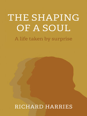 cover image of The Shaping of a Soul